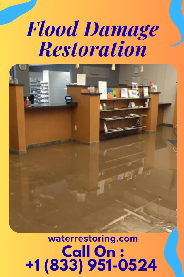 Flood Damage Restoration in China Grove, NC