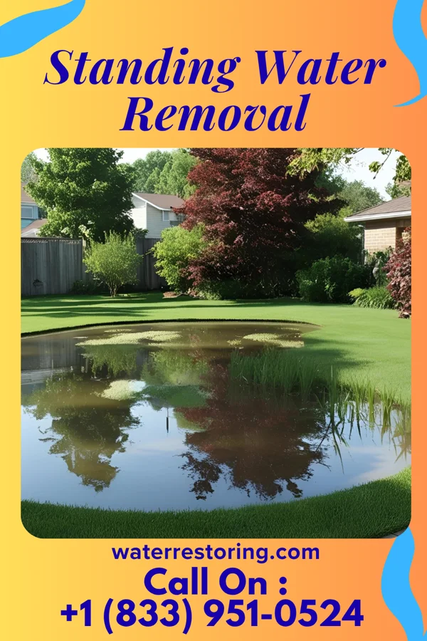 Standing Water Removal in China Grove, NC